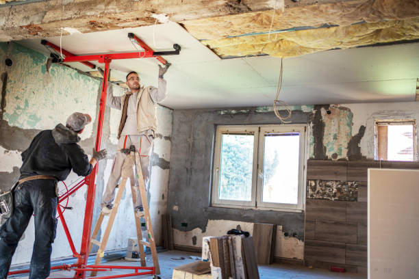 Best Cellulose Insulation in Red Boiling Springs, TN